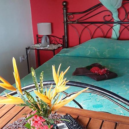Bungalow Mangifera Proche De La Plage Le Diamant Exterior foto