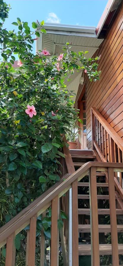 Bungalow Mangifera Proche De La Plage Le Diamant Exterior foto